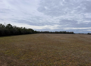 0 conecuh county road 6, Evergreen, Alabama 36401, ,Land,For Sale,conecuh county road 6,24246
