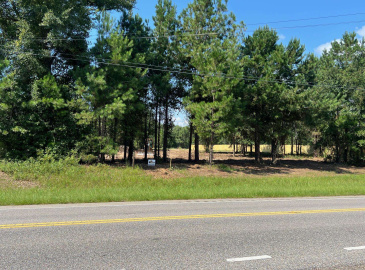 00 Hwy 29 N, Andalusia, Alabama 36421, ,Commercial,For Sale,Hwy 29 N,25452