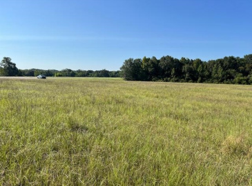20 ac Veterans Memorial Parkway, Opp, Alabama 36467, ,Land,For Sale,Veterans Memorial Parkway,24518