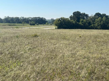 16ac Veterans Memorial Parkway, Opp, Alabama 36467, ,Land,For Sale,Veterans Memorial Parkway,24521